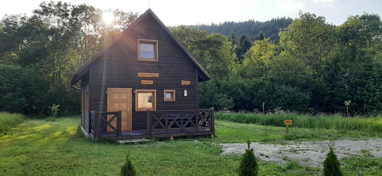 Casa vacanze Magiczne Bieszczady - Krzywe 24